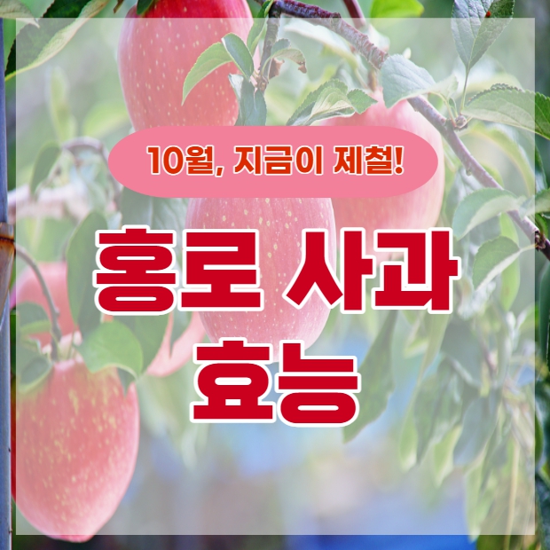 홍로 사과 효능, 알고 먹으면 더 맛있습니다^^ : 네이버 블로그