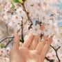 [필름사진] 올림푸스 뮤2줌 115 - 구로디지털단지 봄 벚꽃