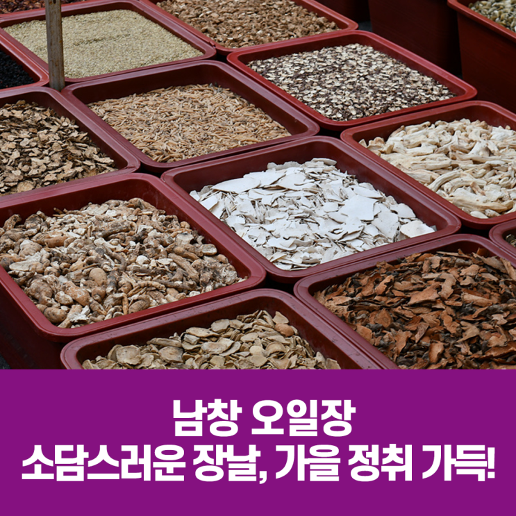 남창 오일장 - 소담스러운 장날, 가을 정취 가득! : 네이버 블로그