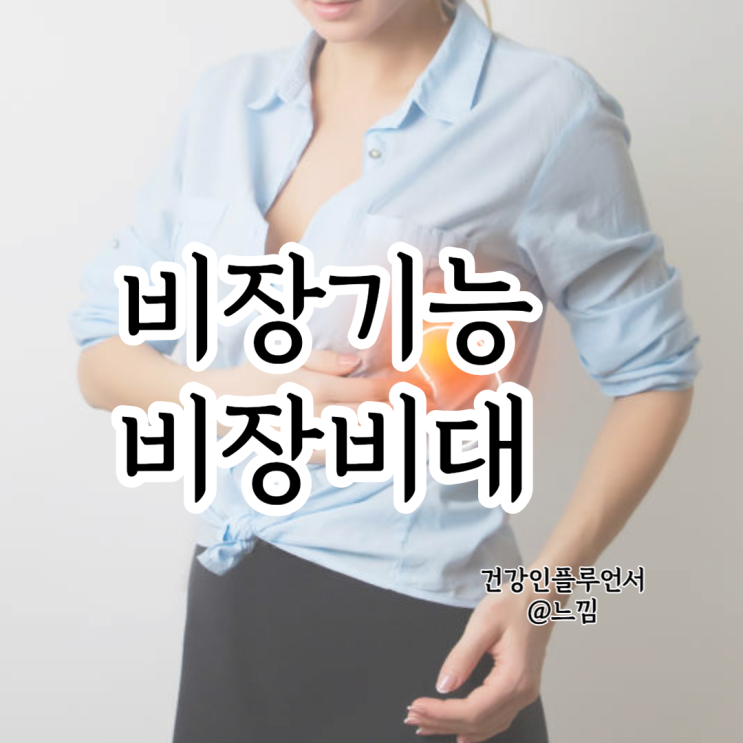 비장 기능 및 비장비대 이유 : 네이버 블로그