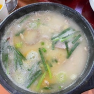 [창원 중동 맛집]돼지국밥 맛집 해장에 좋은 장수촌 24시 돼지국밥