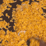 거제도 장평동 밀키트점 오늘쉐프 케이준볶음밥과 언양식불고기 밀키트 내돈내산 후기