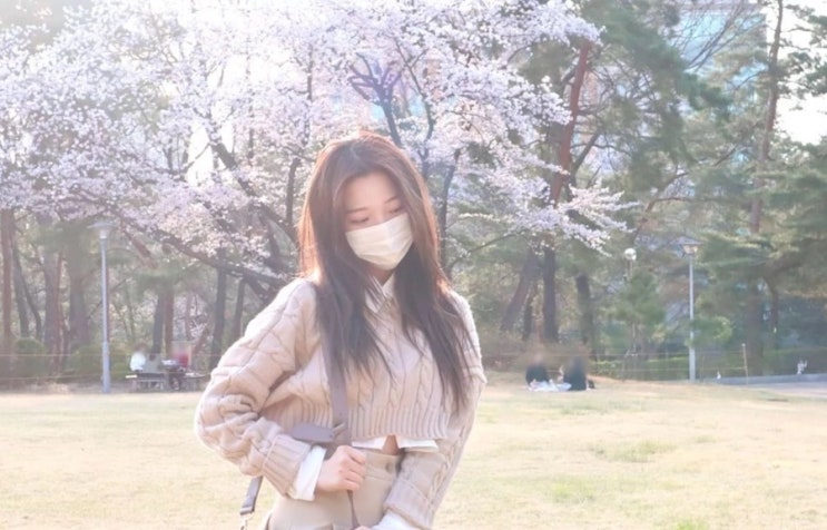 서울여대 여신 백지헌 짤 화제 아동학과 입학 프로미스나인 멤버 프로필 나이