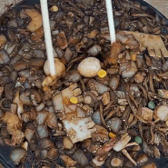 거제도 중곡동 중국집 쟁반짜장면과 탕수육 맛집 양자강 내돈내산 후기