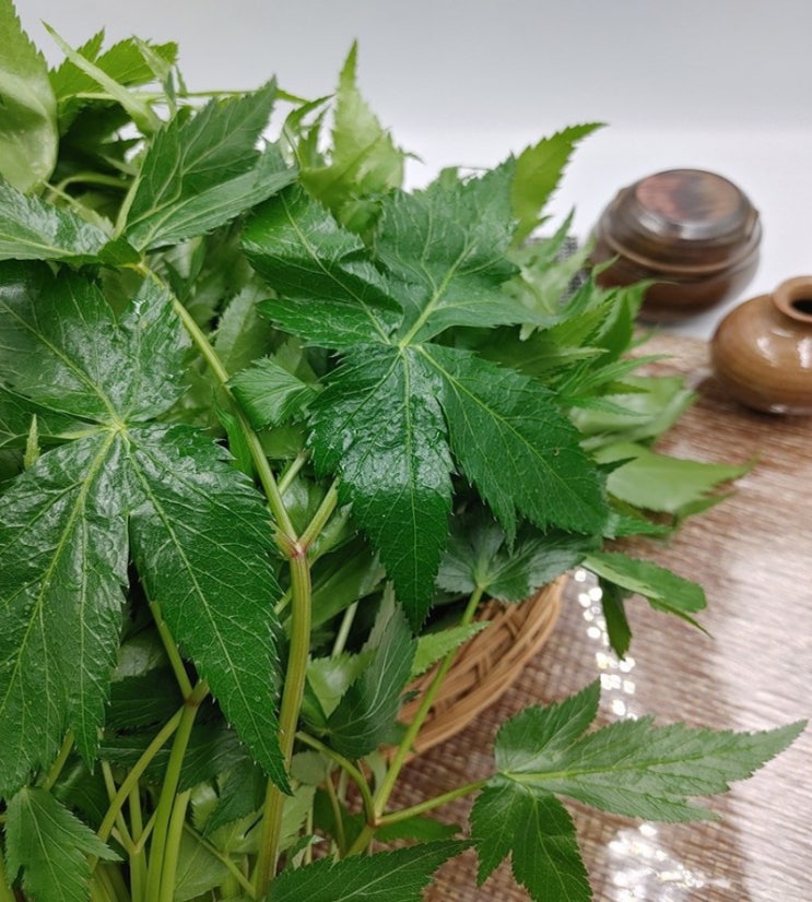 당귀잎, 당귀차의 효능 요약 : 네이버 블로그