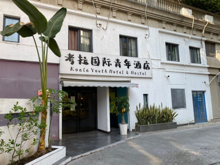 [샤먼 숙소] 코알라 게스트하우스 考拉国际青年酒店 : 네이버 블로그