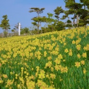 태안 :: 210410 네이처 월드, 태안 성당, 청산수목원, 신두리 해안사구