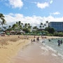 하와이 터틀 베이 비치 - 가족들과 아름다운 해변에서 자유로운 시간 즐기기!