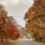 경주 단풍 여행 :: 월정교 황룡원