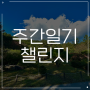 애플의 신제품 아이폰 14 프로 그리고 사진들(feat. 딥 퍼플)