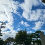 한글날 대체공휴일 출근길 하늘이 너무 이쁘네요.