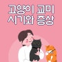 고양이 교미 시기와 증상 알아보기