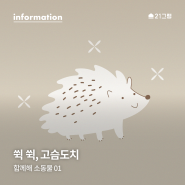 [함께해 소동물 01. 쒹 쒹, 고슴도치] 고슴도치 키우기 · 기본 상식