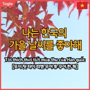 [원어민이 알려주는 베트남어 회화] "나는 한국의 가을 날씨를 좋아해."