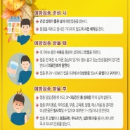 독감백신 접종 전·후 주의사항