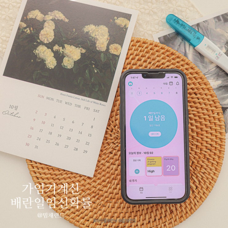 가임기 계산 배란일 증상 임신확률 피크는? : 네이버 블로그