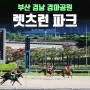 부산 경남 경마공원 렛츠런파크 무료입장권 및 경마해보기