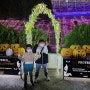 청도프로방스 빛축제 부산근교 아이와 야경 즐기기 좋은 곳 포토존 가득