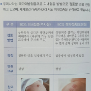 신생아 bcg 접종 피내용과 경피용 고민될 때 ( 8개월 지난 후 피내용 흉터까지 공개 )