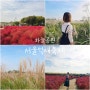 10월 가볼만한곳 서울 상암 하늘공원에서 열리는 서울억새축제 (축제기간, 주차 정보)