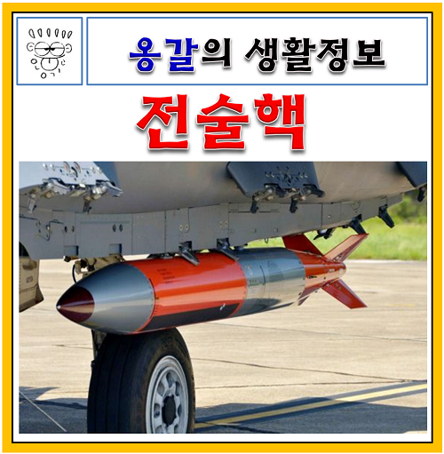 전술핵 전략핵 뜻 차이 역사 종류 : 네이버 블로그