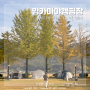 경북 문경 잉카마야박물관 캠핑장 가을 단풍
