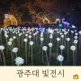 [남구] 광주대학교 빛테마공원