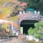 충주 활옥동굴 테마파크 카약 보트체험 아이와 가볼만한곳 추천