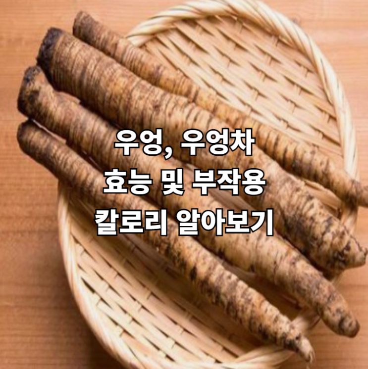 우엉, 우엉차 효능 및 부작용, 칼로리 알아보기 : 네이버 블로그