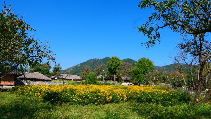 충청도 가볼만한곳 : 아산 외암민속마을 가을 여행지 : 네이버 블로그