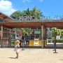 하와이 동물원 - 아이랑 호놀룰루 여행을 한다면 여기어때!?