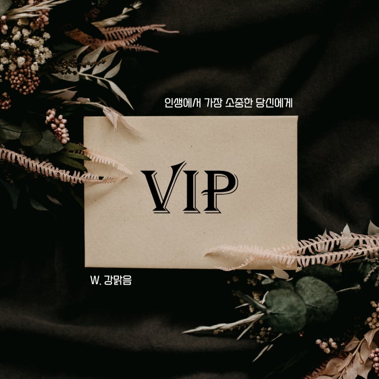 [세븐틴끼리 카톡하기] VIP 02. 인생사 새옹지마 : 네이버 블로그