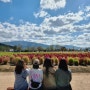 양산 황산공원 댑싸리 나들이하기 좋은 곳 / 황화코스모스 가을꽃 구경