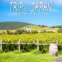 일본 규슈 렌터카 여행 쿠쥬고원 말타기 & 와이너리 탐방