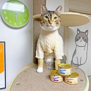 고양이습식사료 부드러운 마이베프 마이슐랭