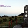 제주도 송악산 - 확 트인 바다와 함께 오르기 좋은곳, 제주 여행