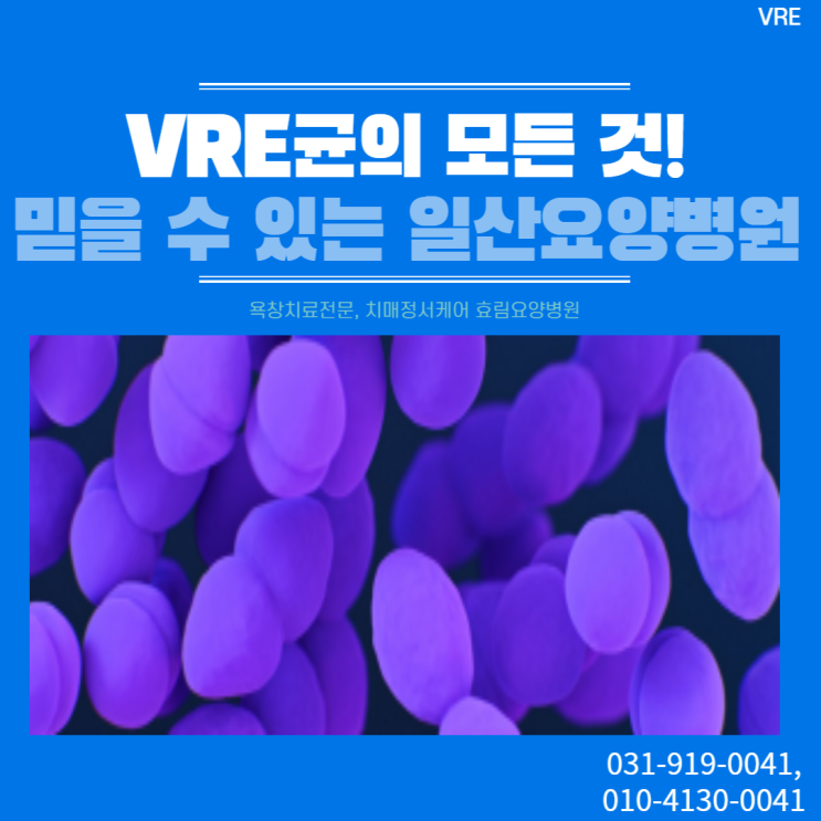 일산요양병원에서 알려주는 VRE 7가지 : 네이버 블로그