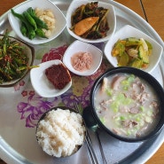 마산 오동동 맛집 노포 로컬 돼지국밥집