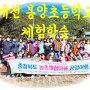 [단양 한드미마을] 봉양초등학교 학생들의 즐거운 체험학습