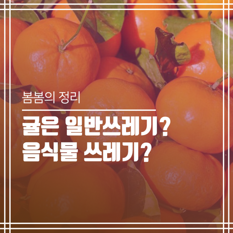 귤껍질 배출방법은 음식물? 일반? : 네이버 블로그