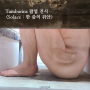 [Gamgak] Tamburins 탬버린즈 팝업 전시회 <Solace : 한 줌의 위안>