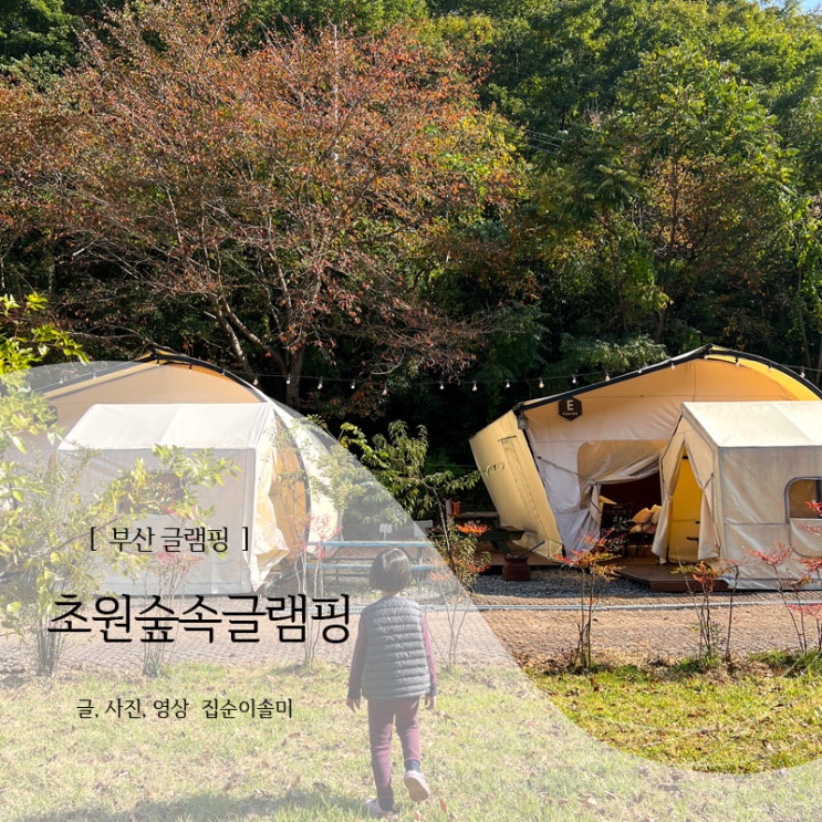 부산글램핑 기장 초원숲속글램핑 따뜻하고 놀거리 가득해 아기랑 갈만한 곳 : 네이버 블로그