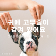 고무줄감김 상처 치료