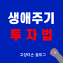 생애주기 투자법(Lifecycle Investing)