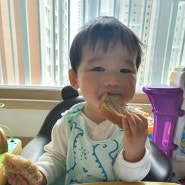 아기간식 추천 100%통밀빵 도현당 유기농빵