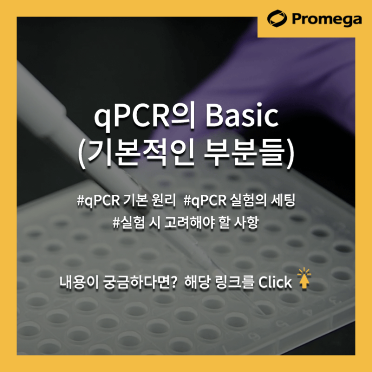 [Lab Essentials] qPCR : 매우 기본적인 부분들 (qPCR의 Basic) : 네이버 블로그