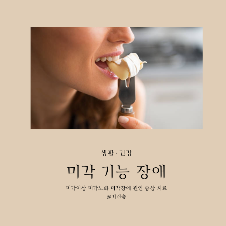 미각장애 미각이상 입맛 없을 때 맛을 못 느낄 때 미각상실 원인 증상 치료 미각 회복에 좋은 음식 : 네이버 블로그