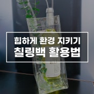 힙하게 환경 지키기! 칠링백 활용법