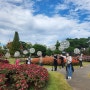 유림공원 국화축제