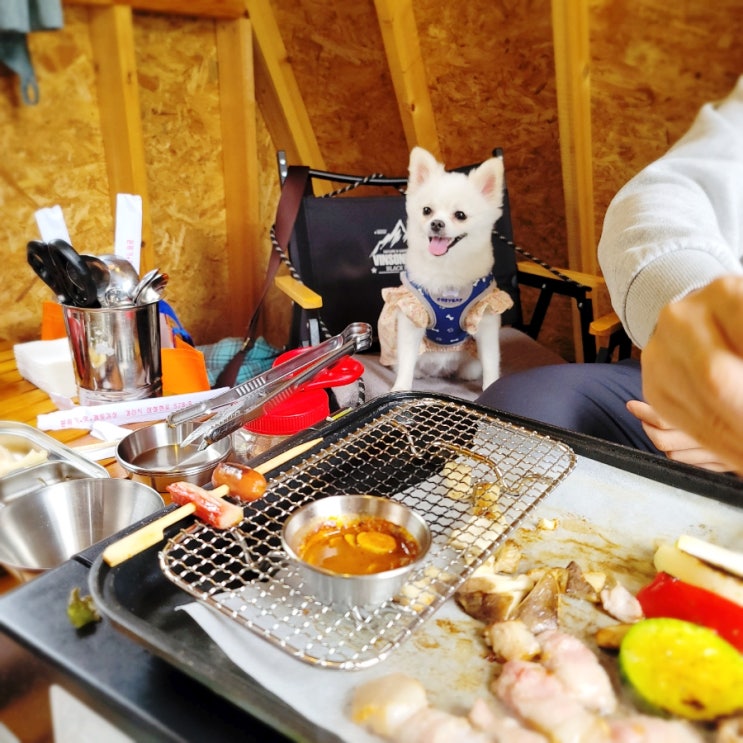 경산인터불고CC 맛집 대구 애견동반 식당 산으로간캠프